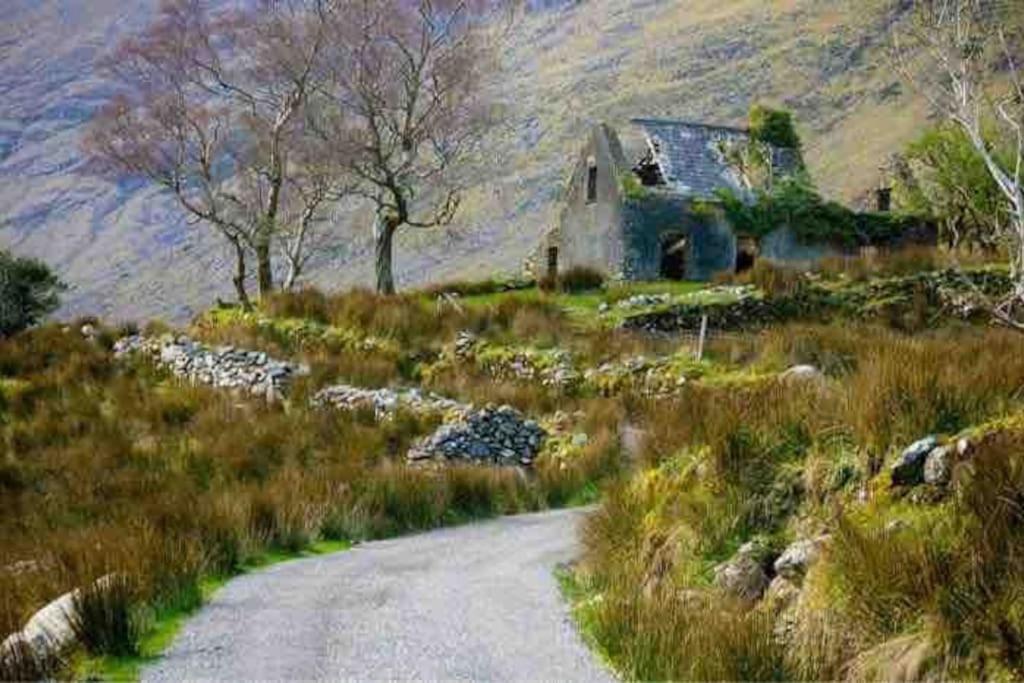The Rose Suite Kenmare Exterior photo